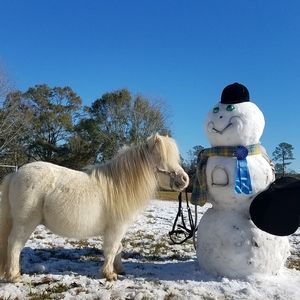 AFTER CHRISTMAS CLOSET SALE!